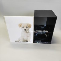 High Quality Customized Acrylic Display Stand